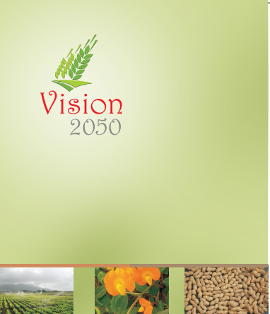 Vision